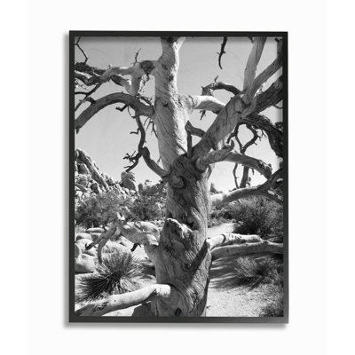 «Desert Tree», reproduction de photo