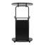 30'' Wood Speaker Stand