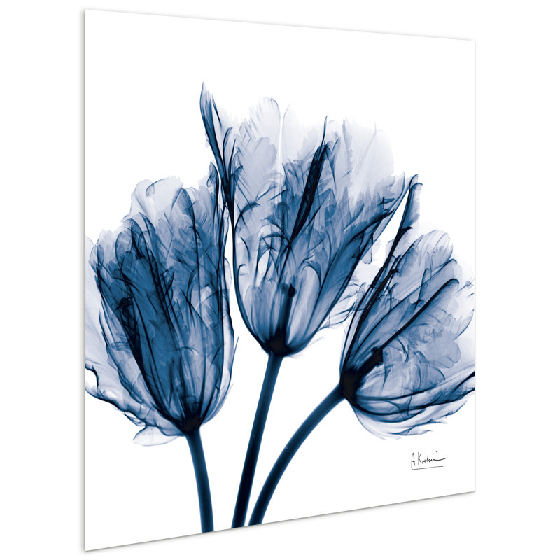Empire Art Direct Blue Tulip X-Ray Floral Tempered Glass Art Print