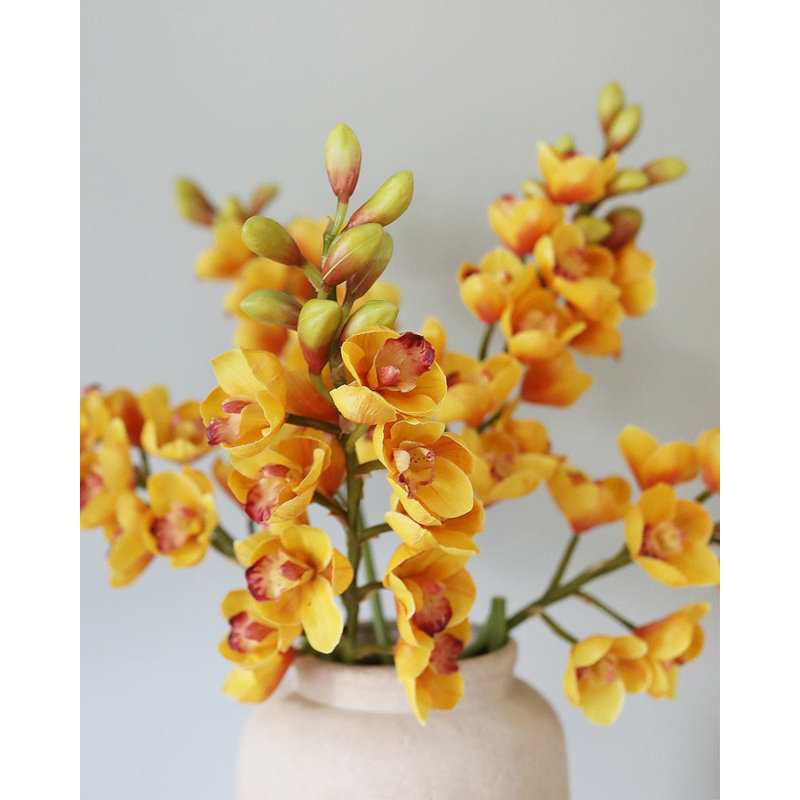 Cream Cymbidium Orchid 33", Yellow Orange