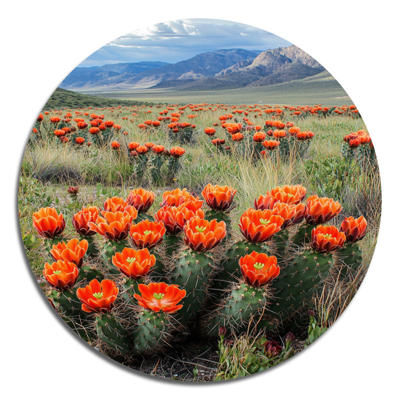 Linsey - Cactus rond, impression sur métal rouge traditionnel, H 16 po x l 16 po