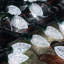 C9 LED Christmas Garland-1981558271-1939618996