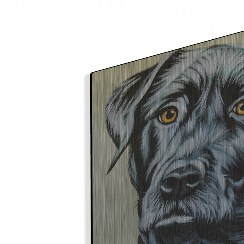 «Realistic Black Lab» par Carolee Vitaletti, H 12 po x l 12 po