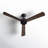 Climate III 52" DC Ceiling Fan with Remote Control, Modern Black Ceiling Fan with Reversible Blades-92349294