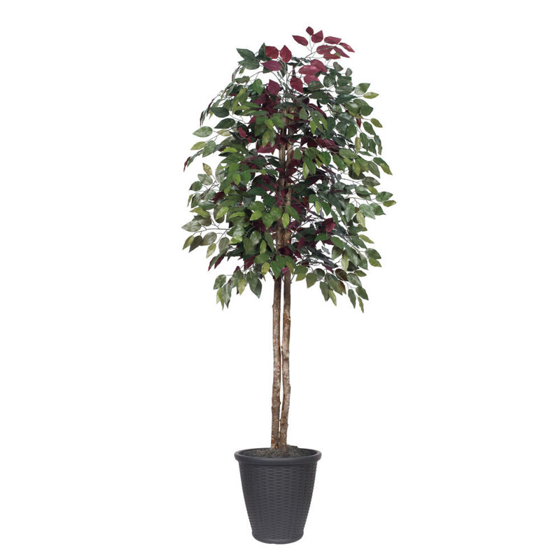 Arbre à feuillage artificiel 72 po en pot, gris