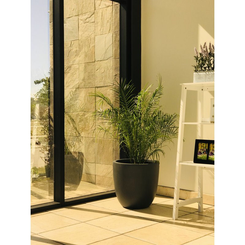 Pot à fleurs moderne, Anthracite, H 17 po x l 18 po x P 18 po