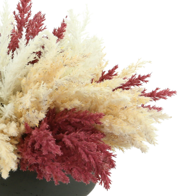 Assorted Pampas In A Fiberstone Pot
