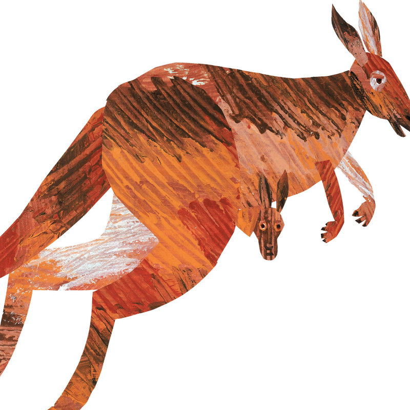 Abc Kangaroo - Painting on Canvas, 61cm H x 91cm W