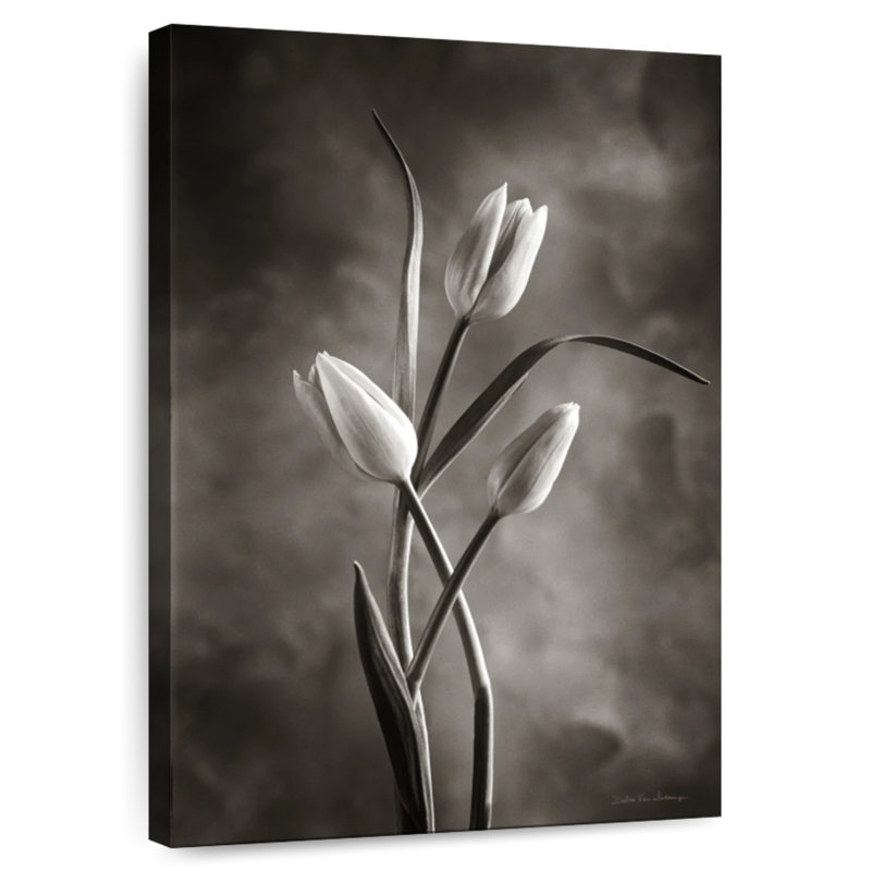 Deux tulipes Harnek II, H 39 po x l 26 po