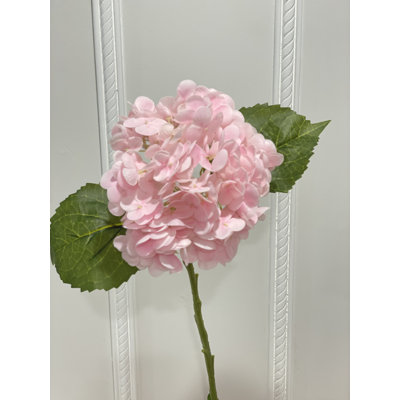 Hydrangea Floral Stems