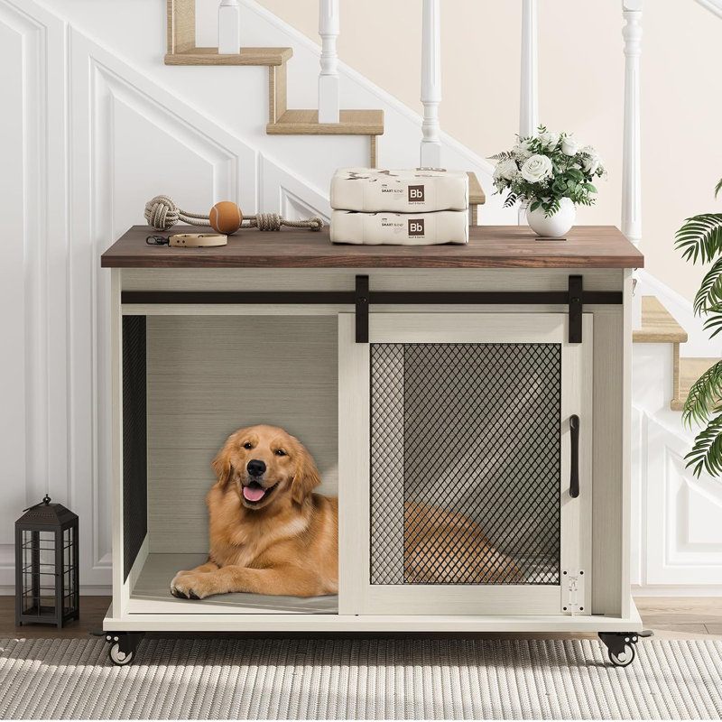 Meuble de rangement pour chien 37 "avec plateau rabattable, Blanc