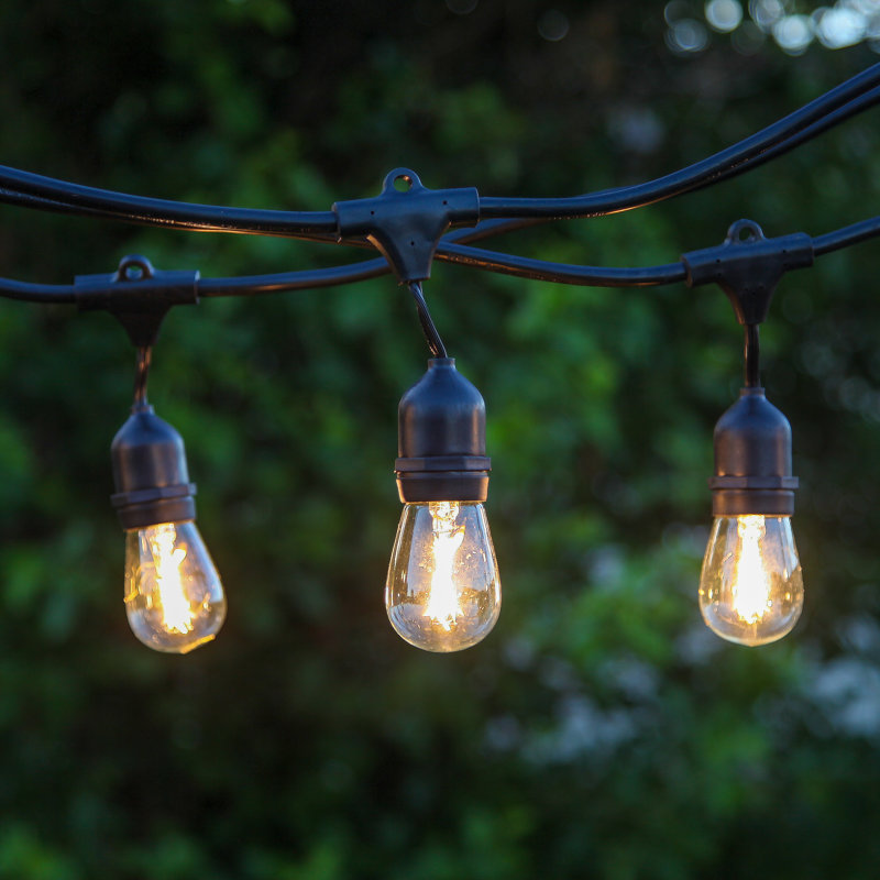 24 ft Black LED Outdoor String Lights with Warm White Edison Bulbs