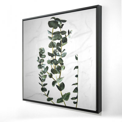 «Tiges d'eucalyptus»