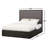 Upholstered Platform Bed-503338315-503338310