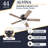 Alvina 44'' Ceiling Fan with LED Lights-765932369