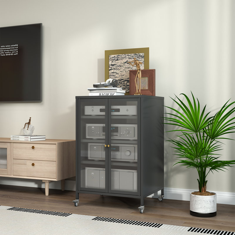 Mikenlee Media Storage Cabinet -Audio-Video Media Stand Require Assembly, Black