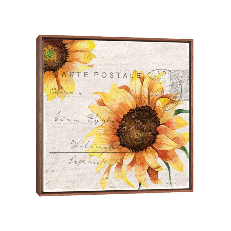 Sunflower Postcard II by Kimberly Allen - Print on Canvas, Brown Framed, 66.04 cm H x 66.04 cm W