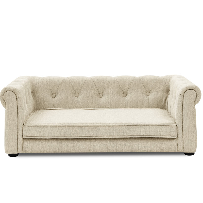 Grand lit confortable pour chien, surélevé et de style moderne, avec matelas régulant la température, pour animaux de compagnie, déchirure