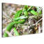 Print on Canvas-23990740