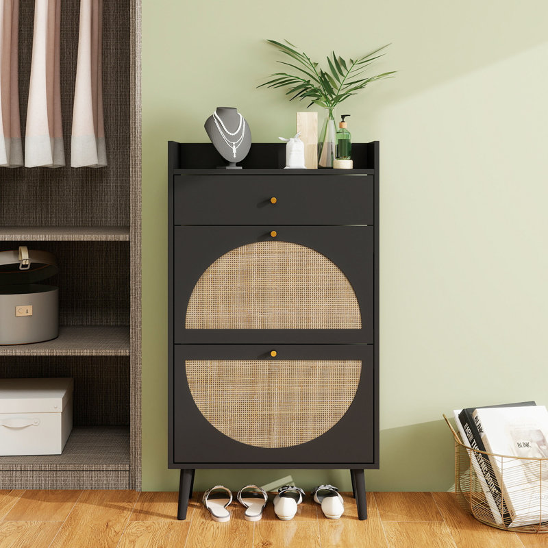 Rotin, armoire à 2 portes et 1 tiroir Allen, étagère à chaussures, double couche, convient à l'entrée, Noir