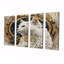 Collage de majestueux chat blanc - art mural 4 pièces-106424520