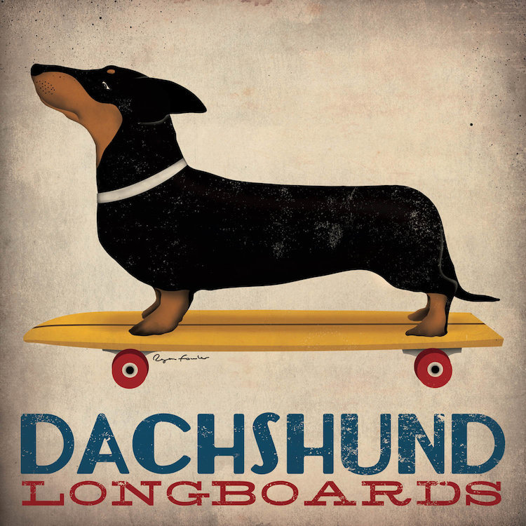 « teckel longboards », affiche rétro sur toile tendue, H 18 po x l 18 po x P 1,5 po