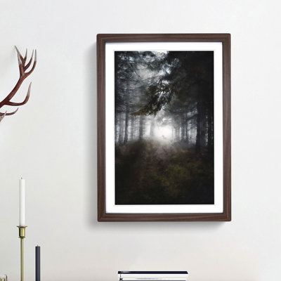 White Wolf in a Forest - Picture Frame Painting Print