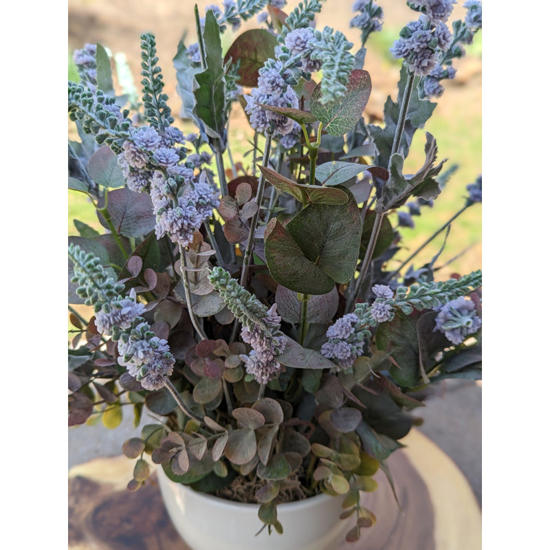 Lavender Arrangement in Pot
