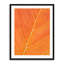 Autumn Leaf Print by Philippe Monthoux-65800498-106870022-132754109
