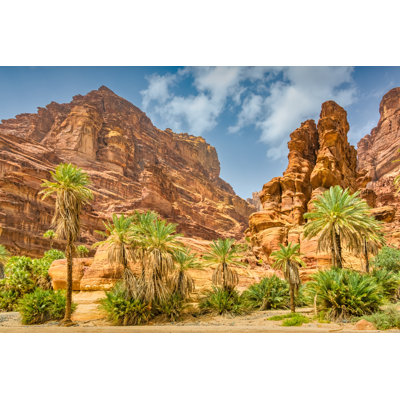 Wadi Al Disah Saudi Arabia by Benedek - Wrapped Canvas Print