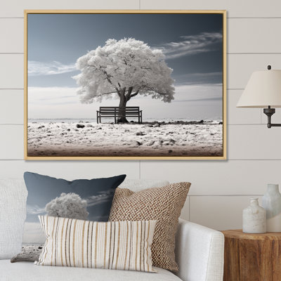 " Grey White Tree Monochromatic Contemplation "