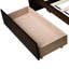 , Lit simple, tiroirs, bois d'hévéa, principe de conception minimaliste, solution de tiroir peu encombrante, structure de soutien solide, approche moderne 2, tiroirs avec roulettes, solutions de rangement pour la chambre à coucher-249333719