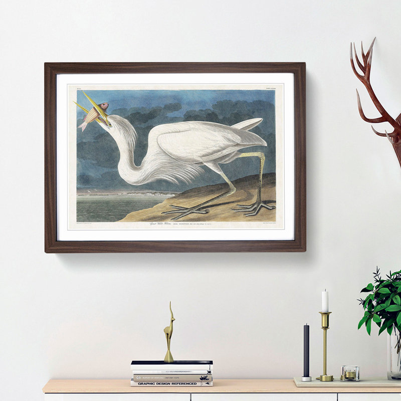 Great White Heron by John Audubon - Picture Frame Painting Print, 36cm H x 48cm W x 2cm D, Walnut Framed