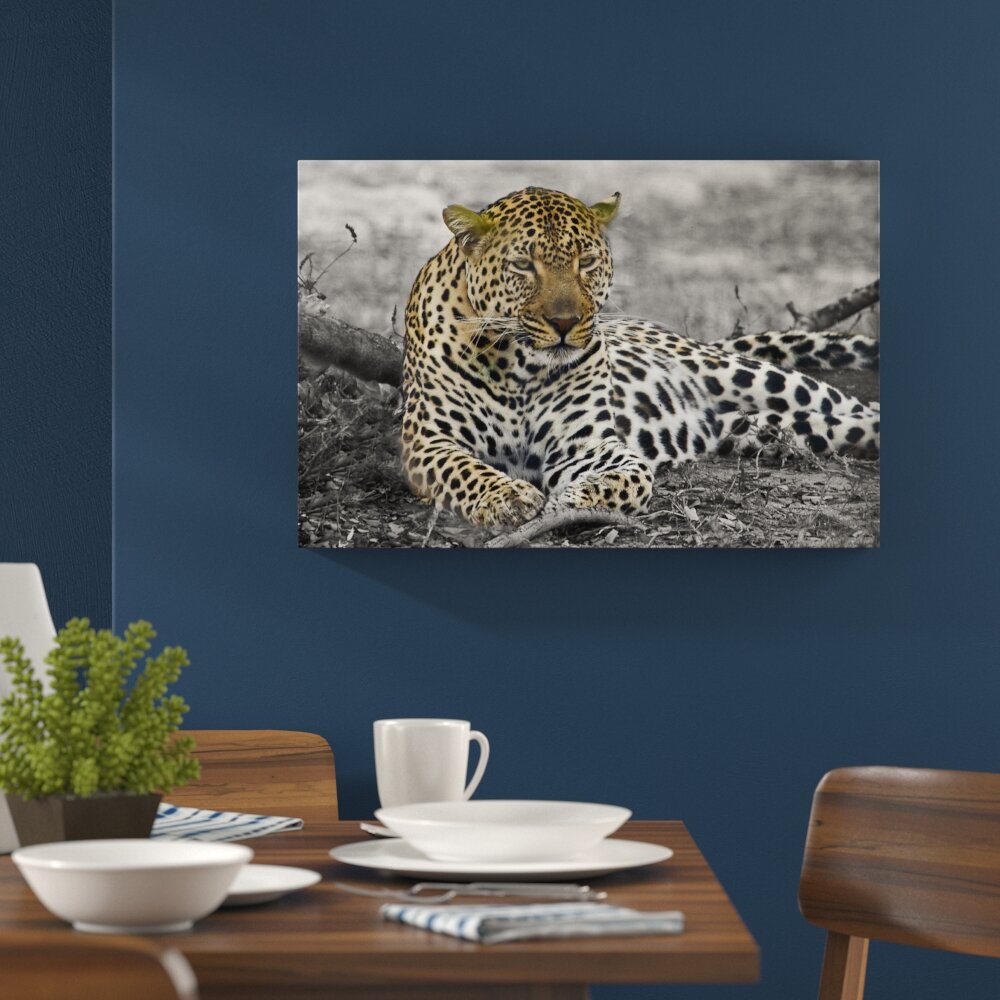 Leinwandbild ,,Schöner Leopard liegt im Laub" von Peter Warne, Grafikdruck