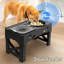 Support réglable pour animaux Pet Slow