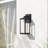 Ainsworth Dimmable Outdoor Wall Lantern-921914870