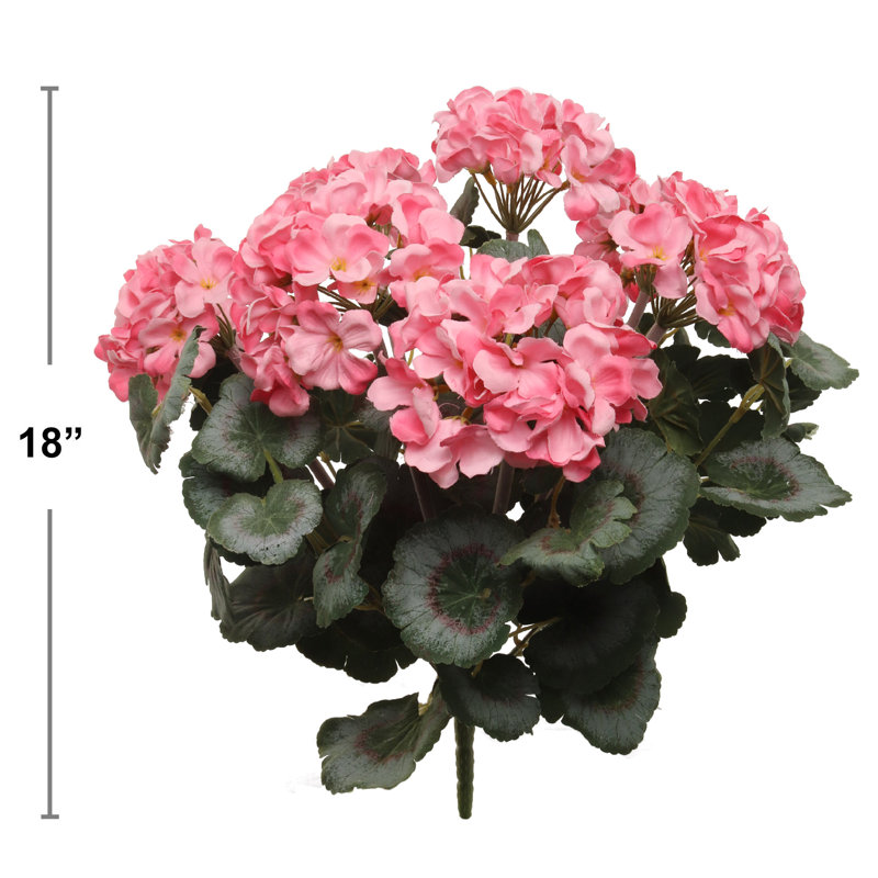 Arrangement floral de géranium