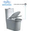 Toilette allongée une pièce à double chasse d'eau de qualité commerciale compacte 4 GPF