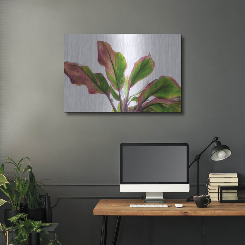 «Botanical» par Dennis Frates, H 24 po x l 36 po