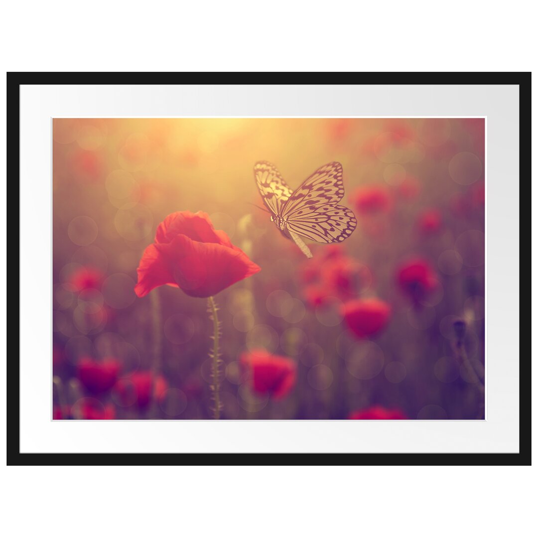 Gerahmtes Poster Mohn und Schmetterling