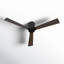 Rozzen Ceiling Fan-1463090420-1463090421-1463090424
