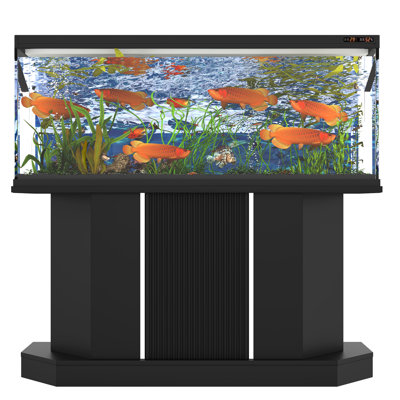 Fish Tank Stand