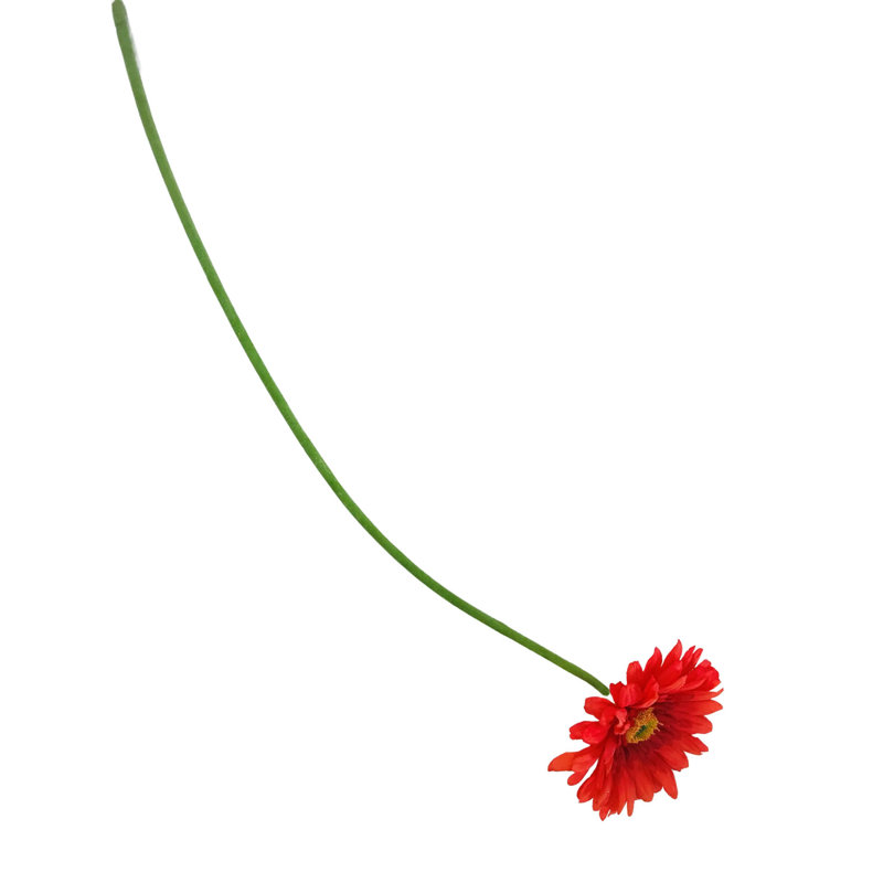 Arrangement floral, Orange