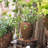 Ruhhena Pot Planter-1456239922