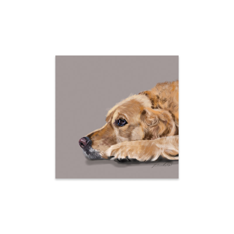 Golden Retriever, reproduction sur verre acrylique, H 36 po x l 36 po x P 0,25 po