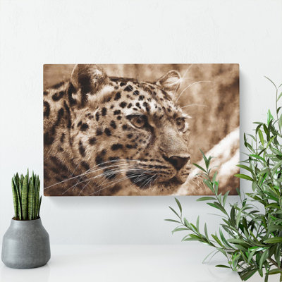 Leopard Vol.3 - Wrapped Canvas Print