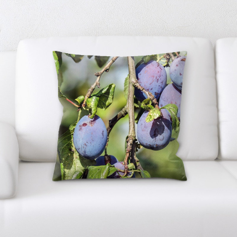 Microsuede Throw Pillow
