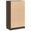 Shoe Cabinet for 12 Pairs of Shoes-2128695648