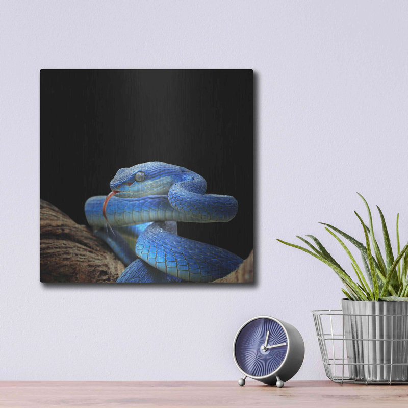 «Slithering Cobalt» par Luxe Metal Portfolio, H 12 po x l 12 po