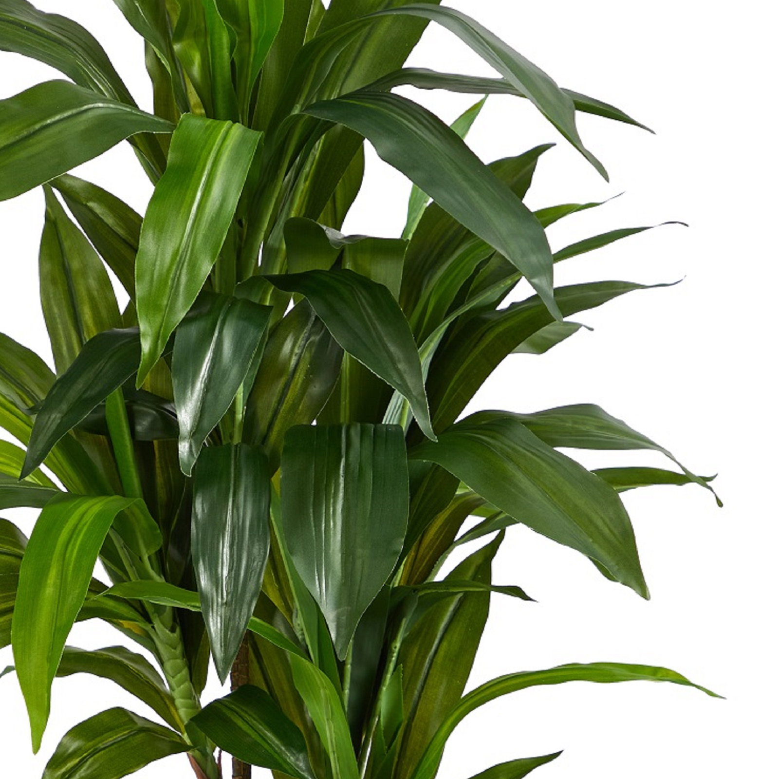 Larson 48'' Faux Dracaena Tree in Planter
